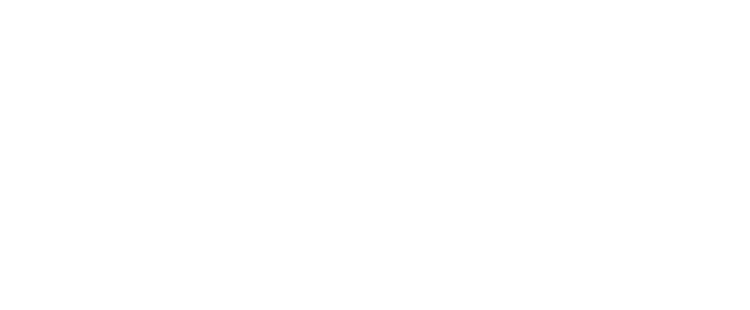 Village Logo